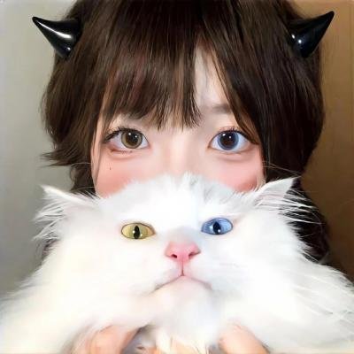 妙警贼探第四季